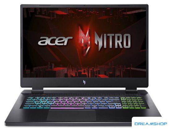 Изображение Игровой ноутбук Acer Nitro 17 AN17-41-R8CN NH.QMXEL.001